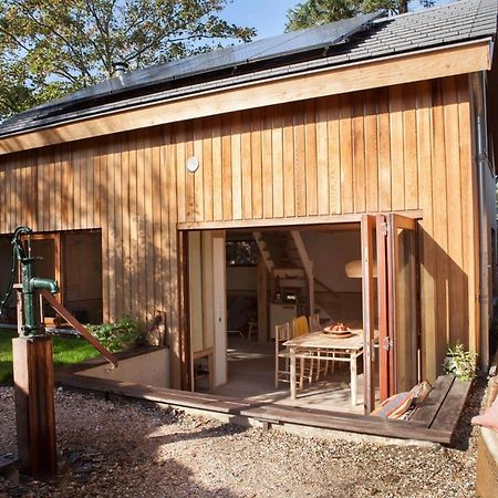 Ecolodge De Parel Schoorl Eksteriør billede