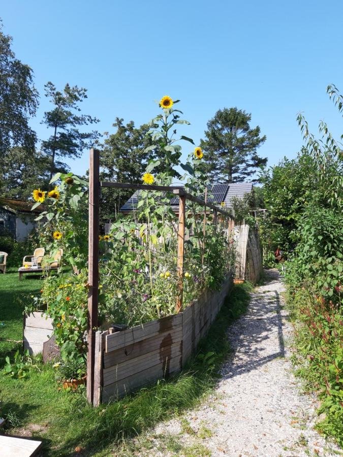 Ecolodge De Parel Schoorl Eksteriør billede