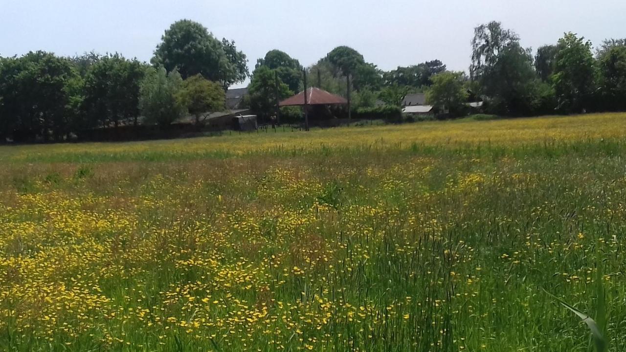 Ecolodge De Parel Schoorl Eksteriør billede